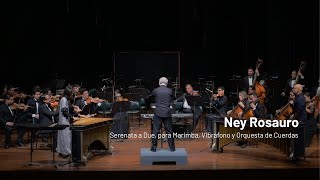 Ney Rosauro  Serenata a Due para Vibráfono Marimba y Orquesta de Cuerdas [upl. by Areyk]