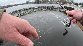 Fishing the Nanticoke River on the Eastern Shore [upl. by Alic]