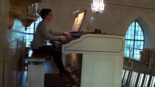 Toccata och fuga i dmoll av JS Bach [upl. by Enuahs]