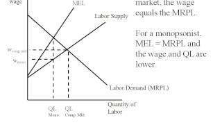 Econ  Monopsony Deadweight Loss [upl. by Eustashe]