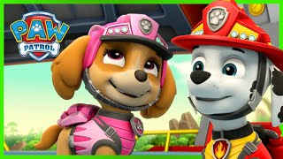 Cat Pack PAW Patrol Rescues 😺 PAW Patrol  Cartoons for Kids Compilation [upl. by Nedarb]