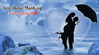 Tere Bina Mashup ❤️  Lofi Song  New Trending Song  ai mashup trendingsong aisongs [upl. by Hau]