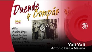 Antonio De La Malena  Yali Yali con letra  Lyrics video [upl. by Ertsevlis]