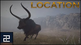 Assassins Creed Odyssey  The Kretan Bull  LEGENDARY Location [upl. by Airyk701]