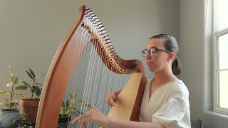 Lever Harp  Instrumental  Peaceful Processional [upl. by Duhl67]