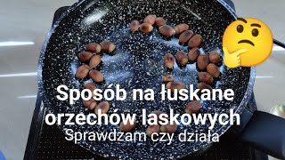 Jak szybko łuskać orzechy laskowe [upl. by Ahsiele]