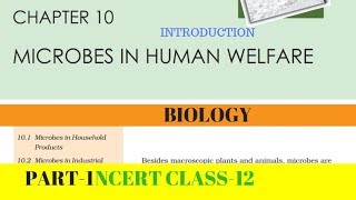 Part1 MICROBES IN HUMAN WELFARE chapter10 NCERT class 12th biology [upl. by Zippel]