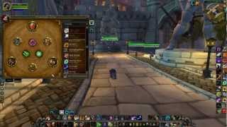 Feral Druid PvP Guide 43 Spec Glyths Gear Gems Reforging and Macros [upl. by Cassi]