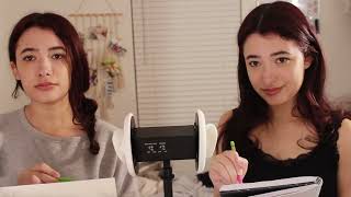 ASMR Twins Draw Your Portrait [upl. by Ariaz89]