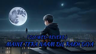 MAINE TERA NAAM DIL RAKH DIYA  NEW LOFI SONG  SLOWED  REWERB   USE HEADPHONES🎧 [upl. by Yraek262]