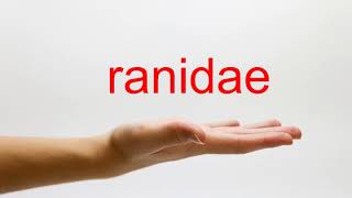 How to Pronounce ranidae  American English [upl. by Robert]