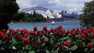 Sydney Royal Botanic Garden Tour [upl. by Cooper977]