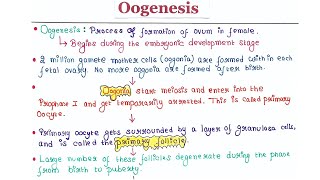 Oogenesis  Handwritten notes [upl. by Ahseek]