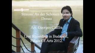 Janos Balazs Jr Plays Strauss An der Schönen Blauen Donau  Arr Georges Cziffra [upl. by Cornia]