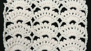 Crochet  Punto Abanico  8 [upl. by Marigold987]