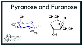 What is the Difference Between Pyranose and Furanose [upl. by Ayyn]