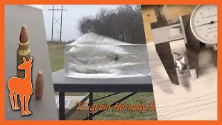 Unexpected Ballistic Gel Performance from Hornady 75Grain BTHP Match [upl. by Armanda]