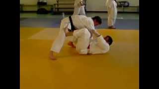 Ude Hishigi Juji Gatame à partir de Tomoe Nage 1 [upl. by Aleb]