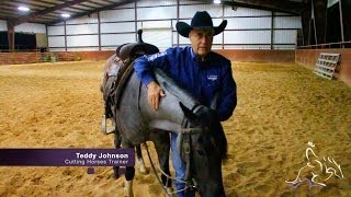 Cutting Horse Training  Working a Young Horse on a Flag with Teddy Johnson [upl. by Naicad790]