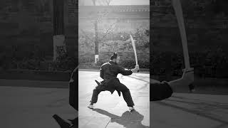 Cutting away entanglements Xuan Gong Dao  Wudang Kungfu wudang kungfu taiji martialarts [upl. by Anavoj754]