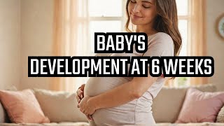 4K Pregnancy Week By Week  6 Weeks Pregnant 2024 [upl. by Reifel]