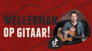 De 10 mooiste TOKKEL LIEDJES op gitaar [upl. by Easton366]