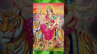 Ucha Hai Bhawan Ucha Mandir shortsvideo youtubeshorts shorts bhajan status bhaktisong [upl. by Kelam728]