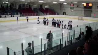 Legends Ringette Game 2013 [upl. by Sille]