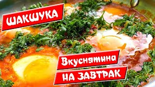 Вкуснятина НА ЗАВТРАК ❤️ за считанные минуты 🍅 ШАКШУКА [upl. by Rob]