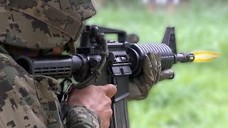 The M16 The Most Kills of Any Rifle in the US Military 5 Best Rifles to Ever Go to War by US Army [upl. by Roybn]