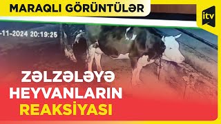 Malatyada baş verən zəlzələ anbaan müşahidə kamerasında [upl. by Darn882]