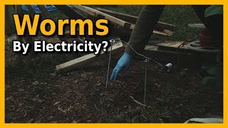 Worms Electric  Does It Work [upl. by Ogilvie]