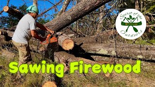 Sawing Firewood [upl. by Ecertal]