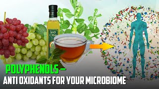 POLYPHENOL Rich FOODS For Your MICROBIOME [upl. by Elenahc322]