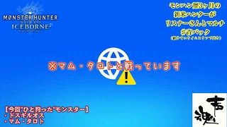 モンハンワールド※配信設定中につき雑談の時間です [upl. by Waddington]