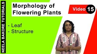 Morphology of Flowering Plants  NEET  Leaf  Structure  Neela Bakore Tutorials [upl. by Derreg]