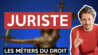 Les Métiers du Droit 5  Juriste dentreprise [upl. by Rehsa]