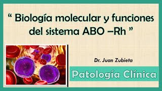 Biología molecular y funciones del sistema ABO  Rh [upl. by Airehc]