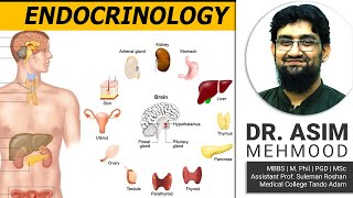 Endocrinology  Biology of Adrenal Gland  Hindi  Urdu [upl. by Piegari]