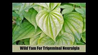 8 Effective Herbal Remedies For Trigeminal Neuralgia [upl. by Hamachi850]