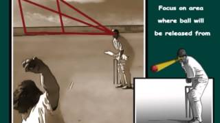 How to cricket  Batting tip focus on the release area [upl. by Trish]