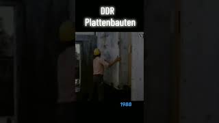 Plattenbau in der DDR ddr youtube fyp fypシ video viral [upl. by Auqinot25]