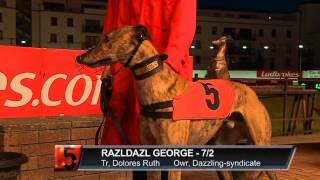 Ladbrokes Irish Greyhound Derby 2012 Round 3 Heats 1 to 8 [upl. by Ashraf]