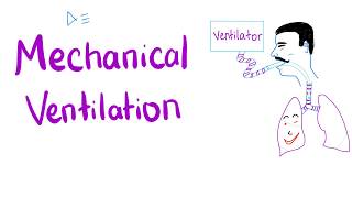 Mechanical Ventilation  Most COMPREHENSIVE Explanation 🤫 [upl. by Nonah884]