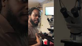 🪱 PARASITES 🦠 IN YOUR BLOOD EATING ALL OF YOUR PHYTONUTRIENTS‼️‼️ 👀 YahkiAwakened YahkiTv [upl. by Nalani]