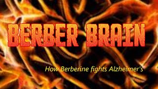 BerberBRAIN How Berberine fights Alzheimers [upl. by Cobbie25]