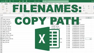 Copy list of filenames from folder into Excel Windows [upl. by Immak]