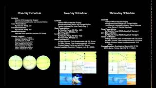 10th Annual Microsurgery Training Course Day 2 [upl. by Kolivas]