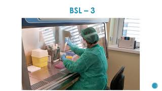 6 1 Biosafety Levels [upl. by Thorlie]