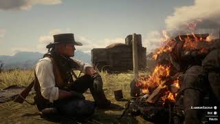 Red Dead Redemption 2 how cooking meat [upl. by Hannahsohs650]